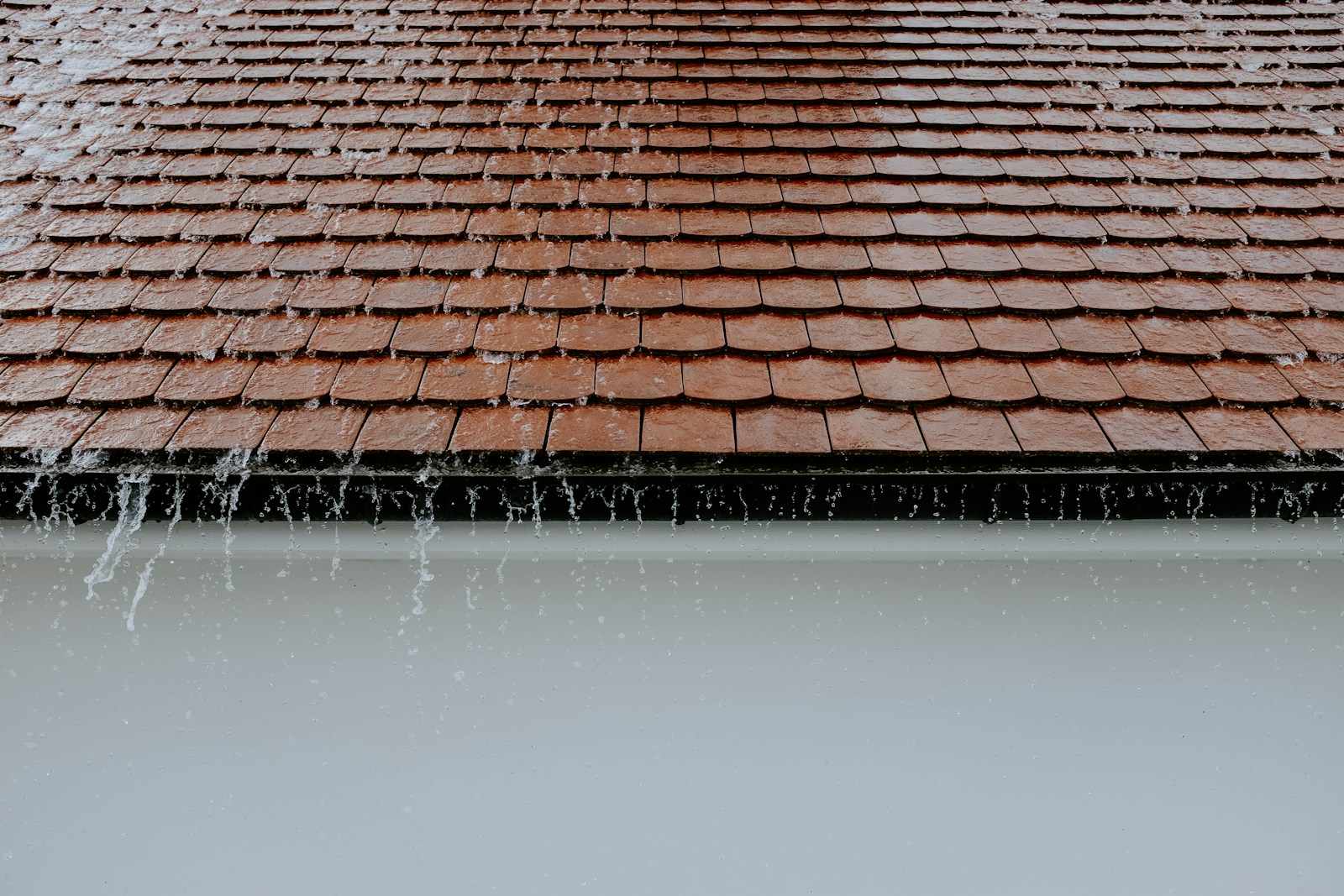 brown shingle roof